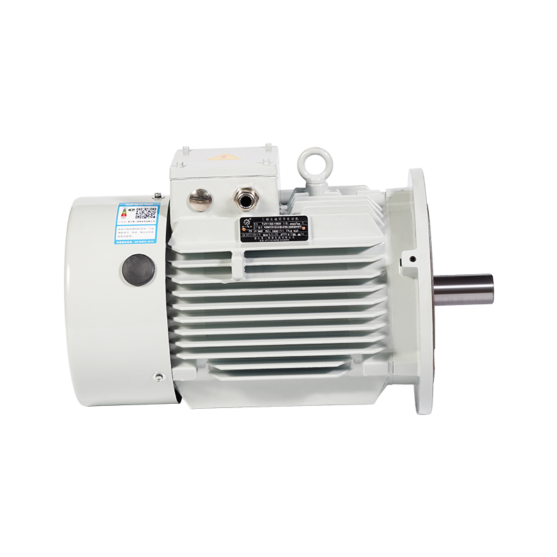 定型機(jī)專(zhuān)用耐高溫永磁同步電動(dòng)機(jī)